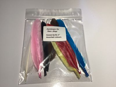 Duck Quill 3” assorted colors