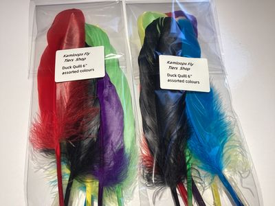 Duck Quill 6” 7 assorted colours