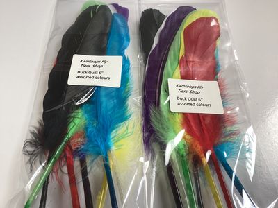 Duck Quills 6” Assorted Colours