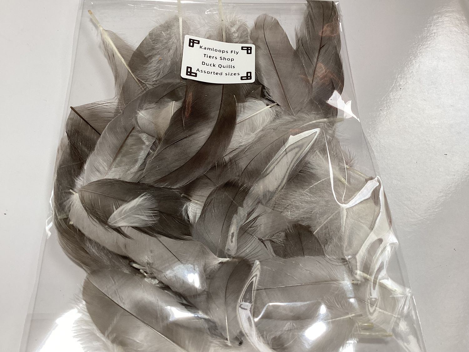 Duck Quills Assorted sizes