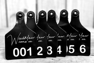 Ritchey Cattle Tags and Accessories