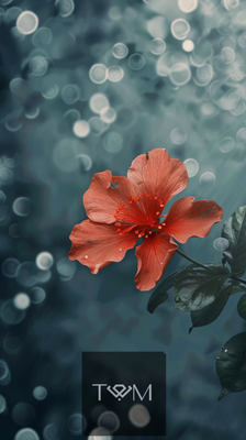 Flower 97