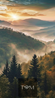 Landscape 17