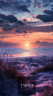 Landscape 64