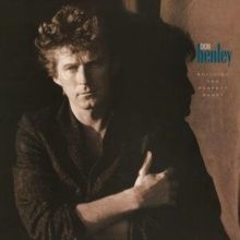 HENLEY,DON / BUILDING THE PERFECT BEAST (40TH ANNIVERSARY) (2LP)
