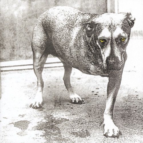 Alice in Chains -  Alice in Chains [CD] - Rock