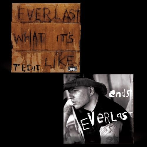 Everlast - What It&#39;s Like/ Ends [Explicit Content, 7 Inch] - Rock
