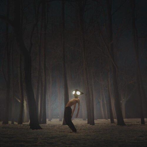 GEESE - PROJECTOR - Rock