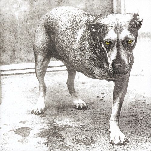ALICE IN CHAINS - ALICE IN CHAINS - Rock