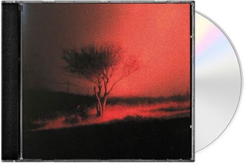 Joji - Piss In The Wind - CD - Rap/Lo-fi Trip-hop