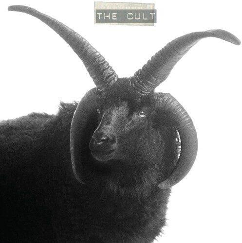 The Cult  - The Cult [Indie, White] - Rock