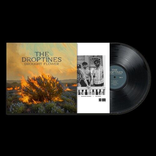 Droptines -  Drought Flower - Rock