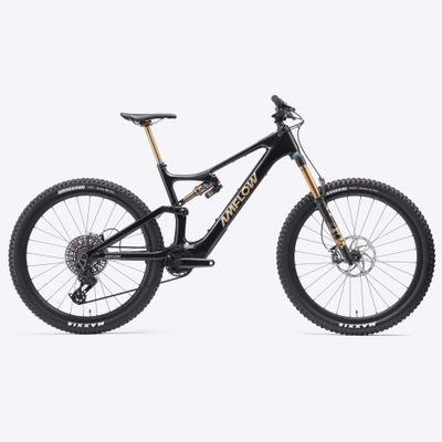 Amflow PL Carbon Pro (800Wh) Ex-Demo
