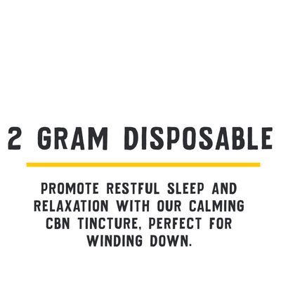 2 GRAM DISPOSABLE