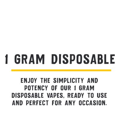 1 GRAM DISPOSABLE