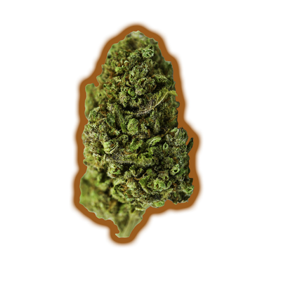 CBD FLOWER BUBBA CRITICAL