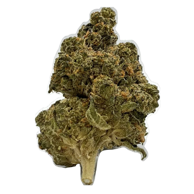 THCA FLOWER APPLE FRITTER