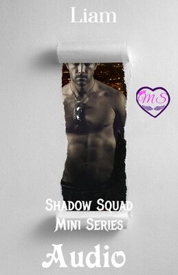 Shadow Squad Mini Series