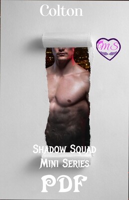 Shadow Squad Mini Series