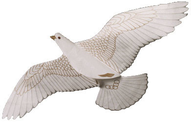 Dove of Peace Assembled