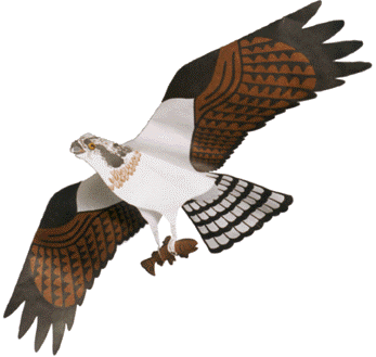 Osprey Assembled
