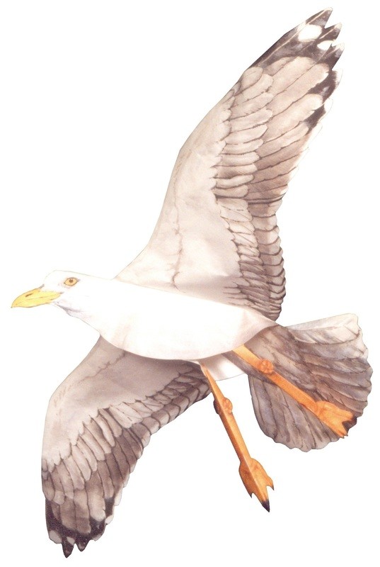 Happy Gull Assembled