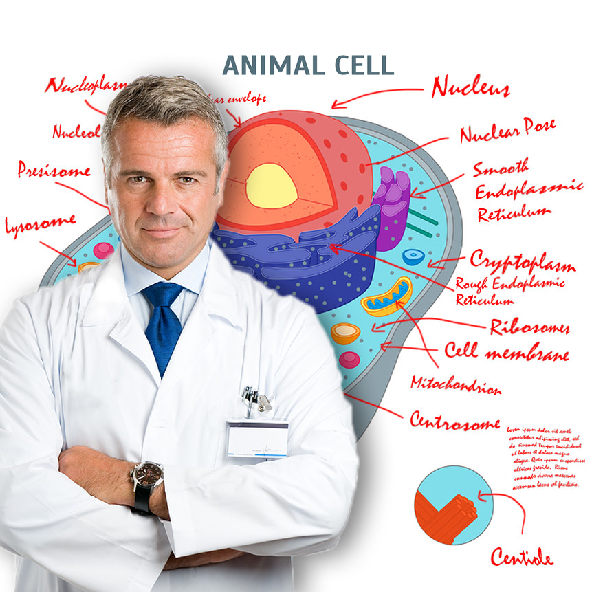 Dry-erase Laminated Research Poster