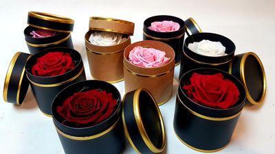 Rose eternelle kraft