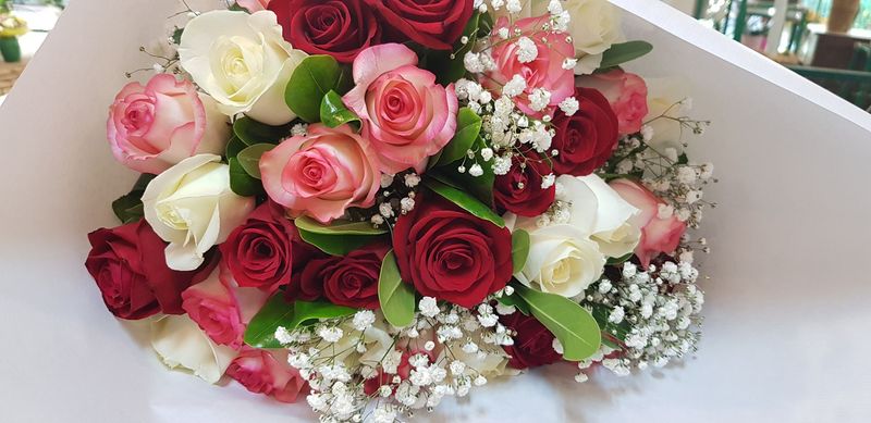 Panaché de roses