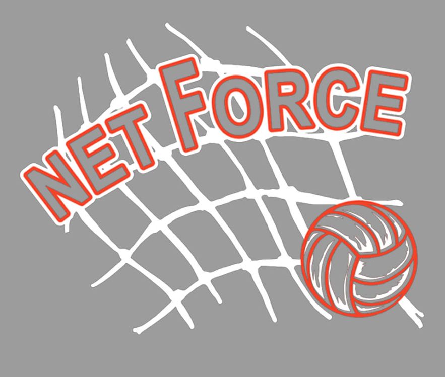 Retro Net Logo 2 color (limited quantity available)