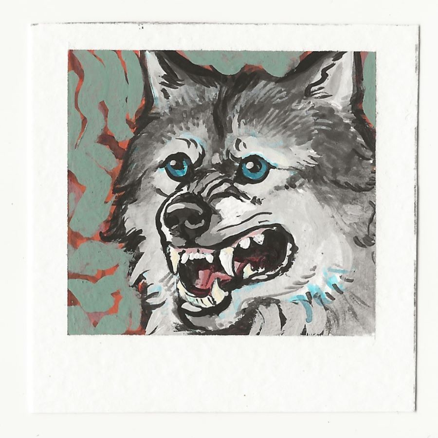Snarling Husky