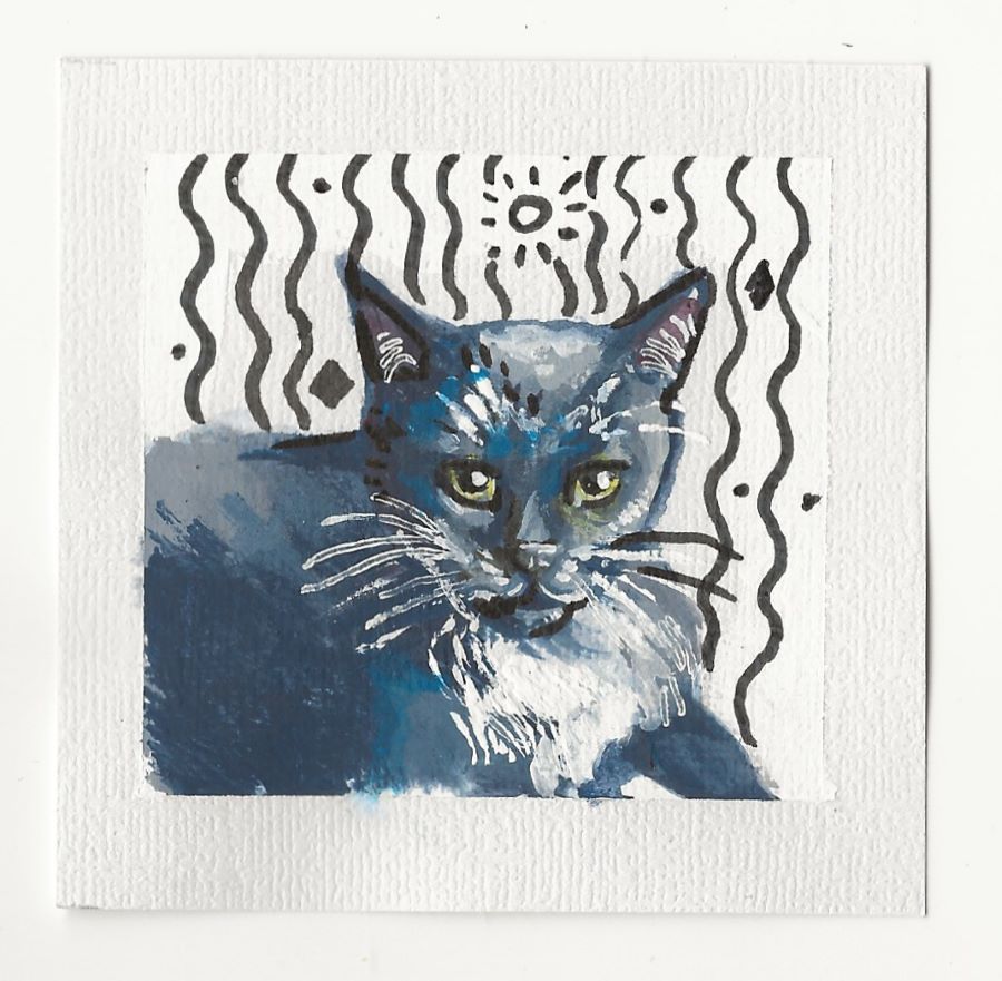 Baby (my cat)