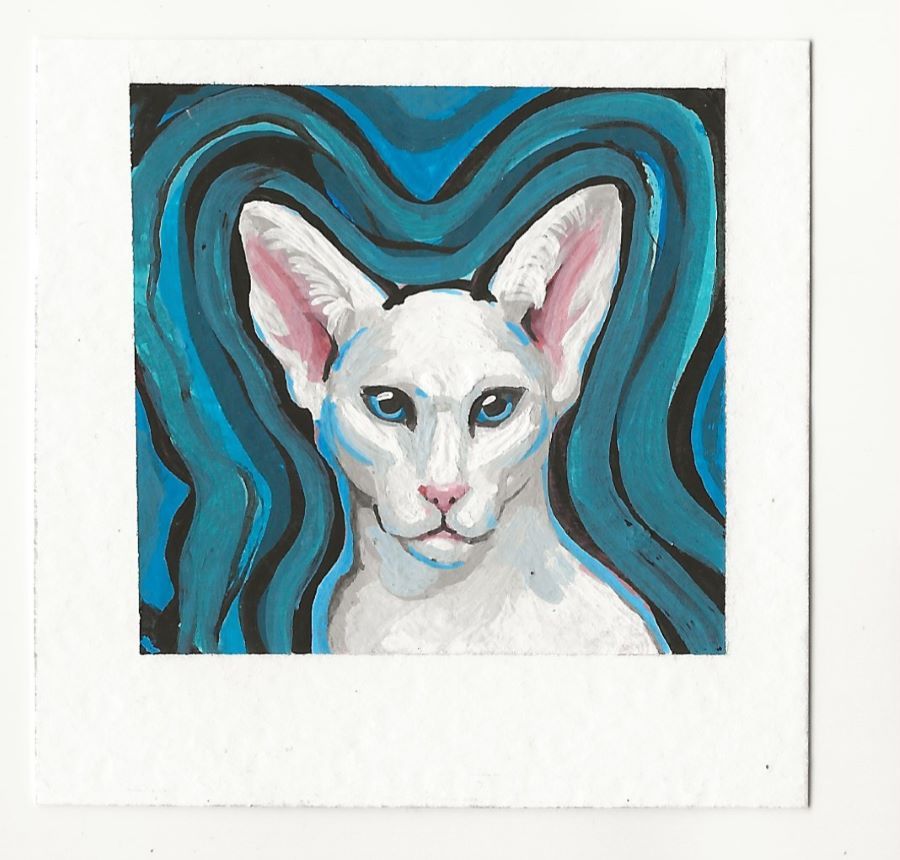 Big Eared Kitty