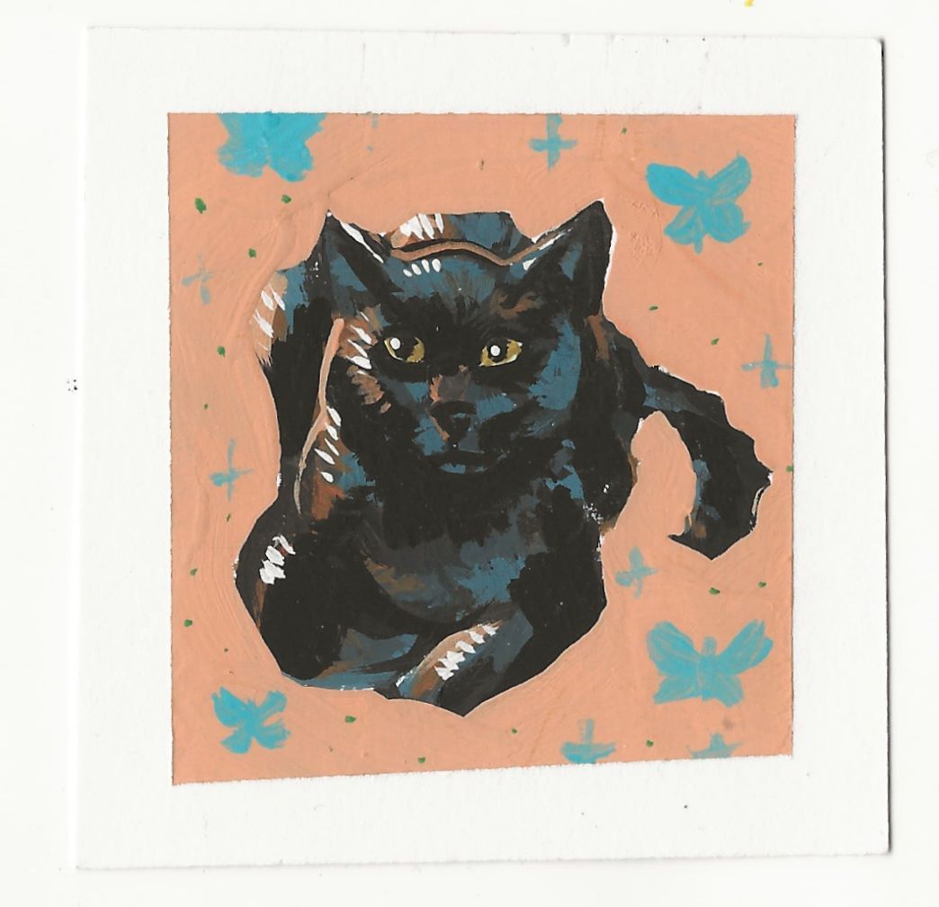 Magical Black Cat