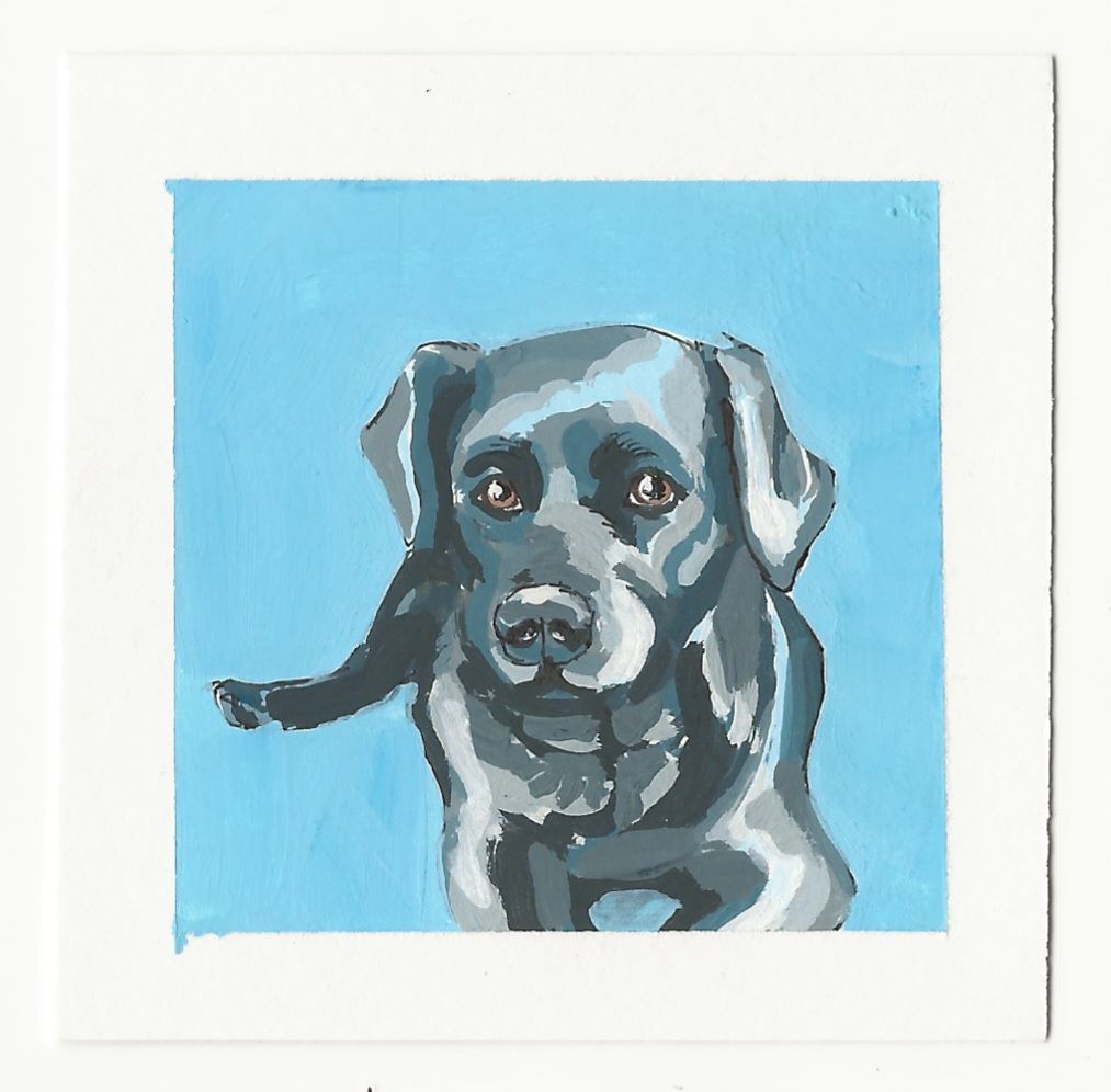 Black Lab