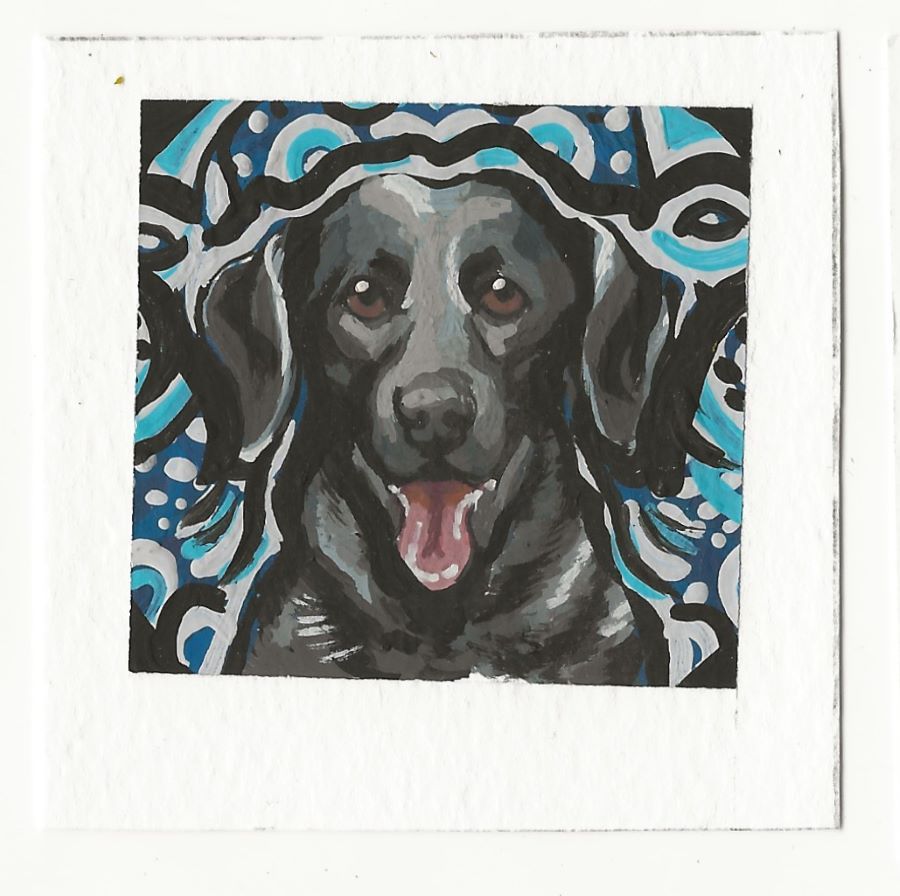 Black Lab on Funky Blue