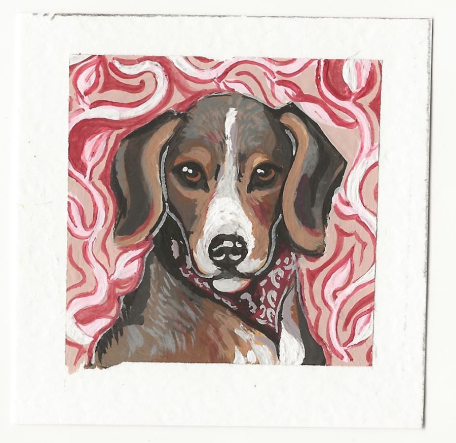 Beagle