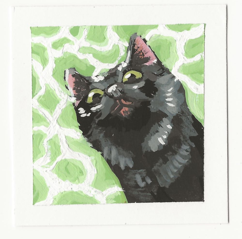 Smug Cat