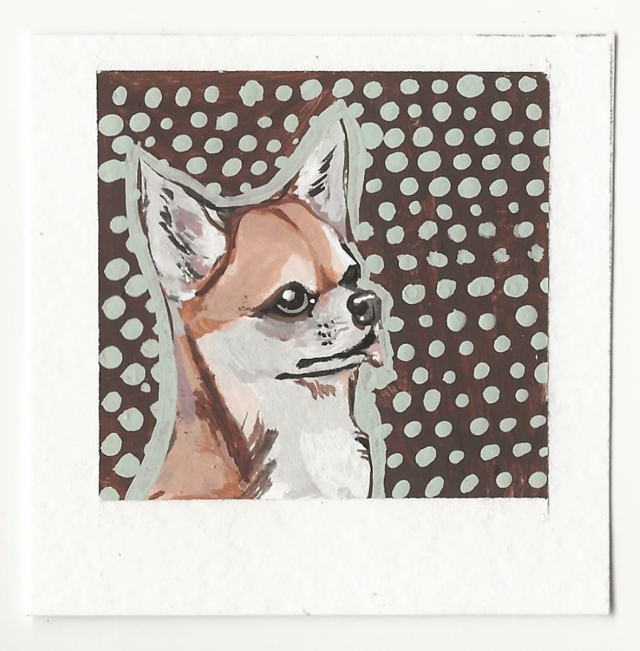Chihuahua with Polka Dots