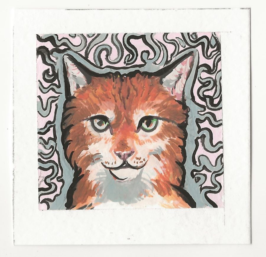 Psychedelic Tabby
