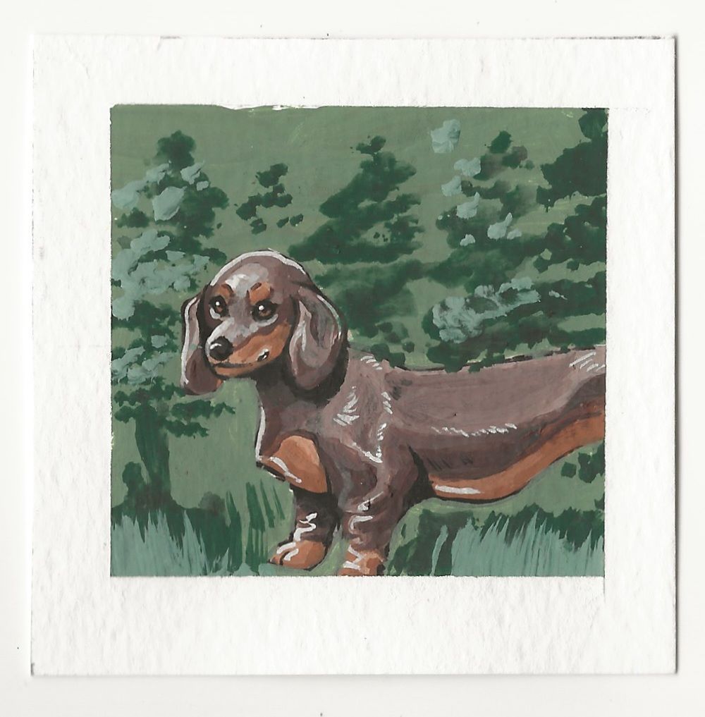 Dachshund in the Forest