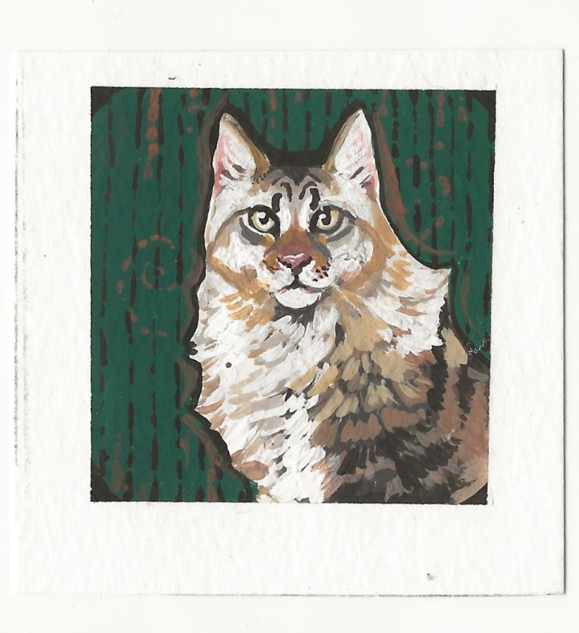 Green Tabby