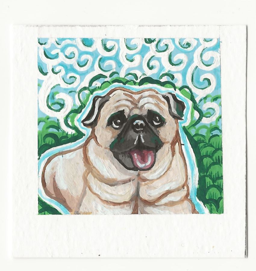 Pug in the Grass