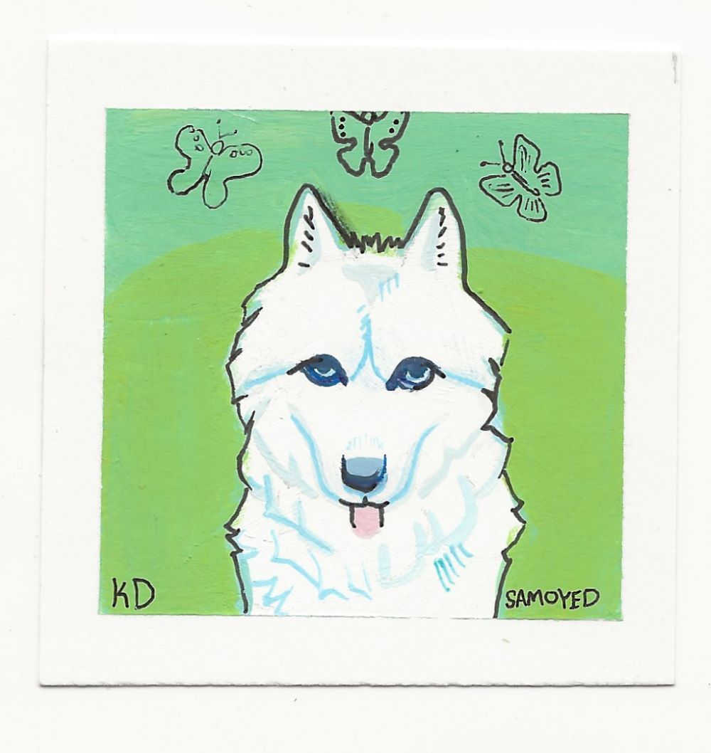 Kawaii Samoyed