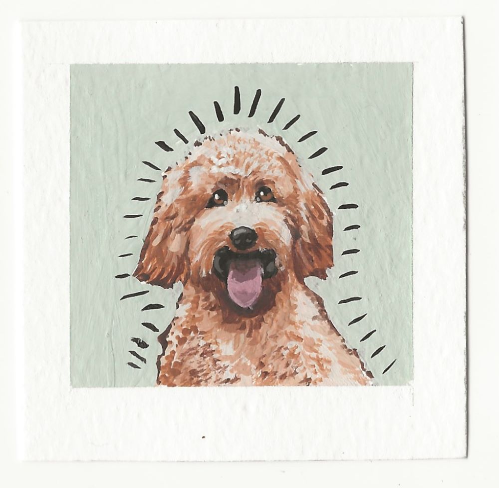 Golden Doodle