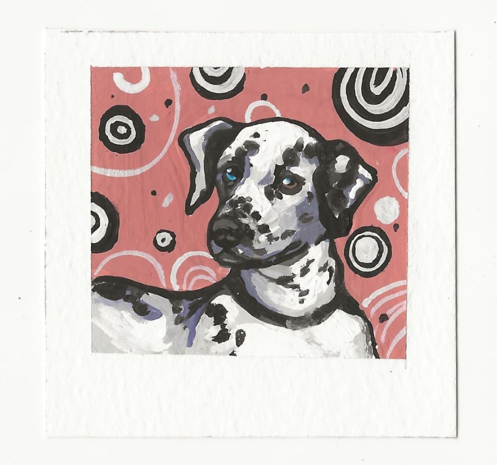 Pink Circle Dalmatian