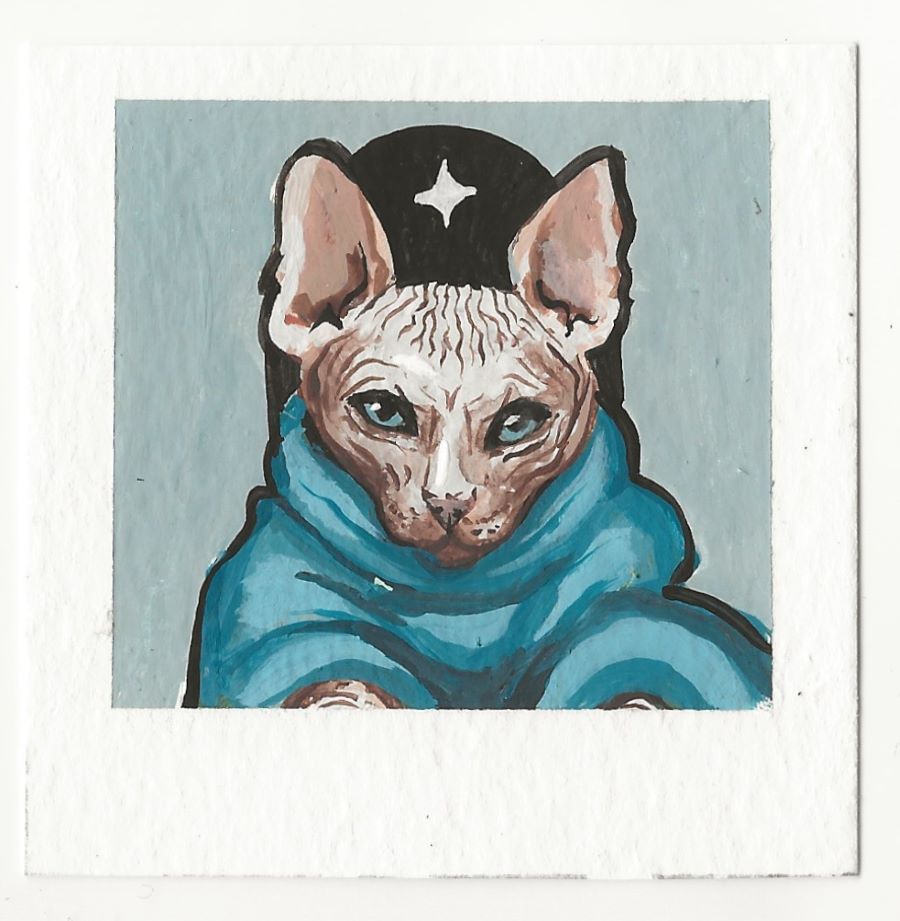 Wise Old Sphynx Cat