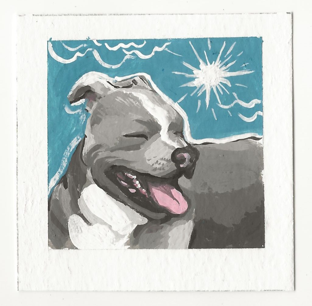Sunny Pitbull