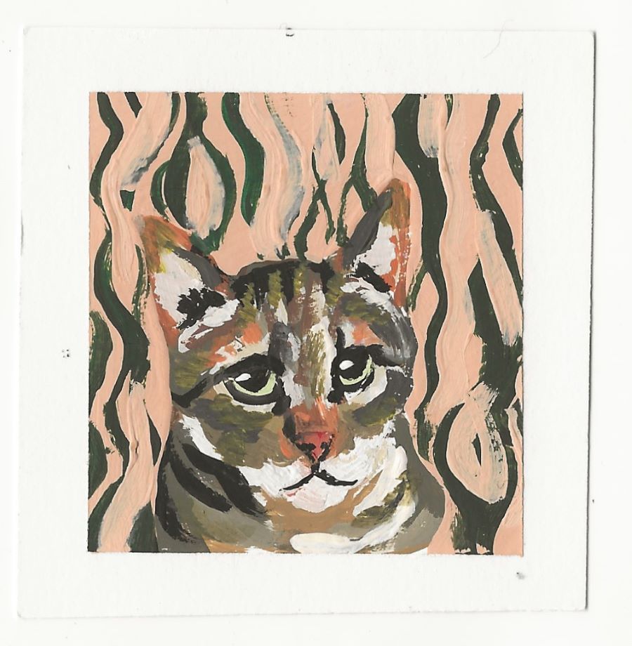 Artistic Tabby