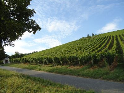 Weine aus Deutschland